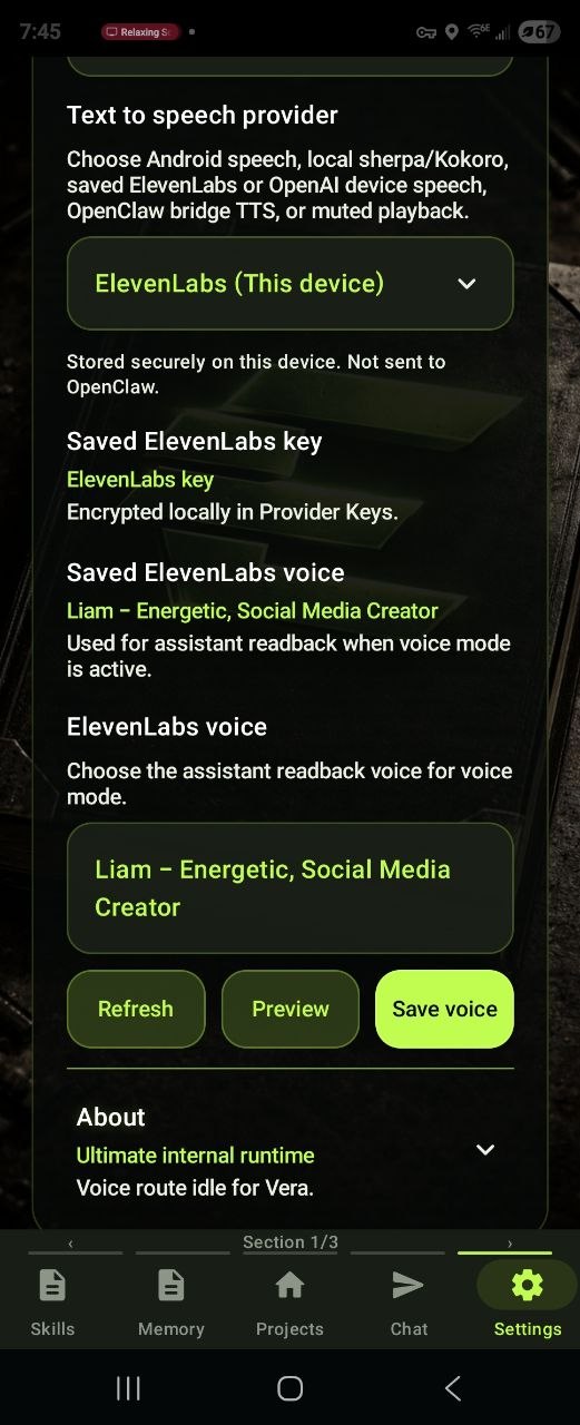 E:Voice TTS voice settings