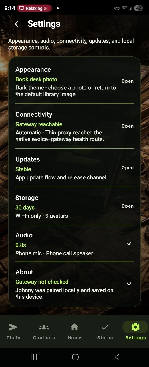 E:Voice settings screen